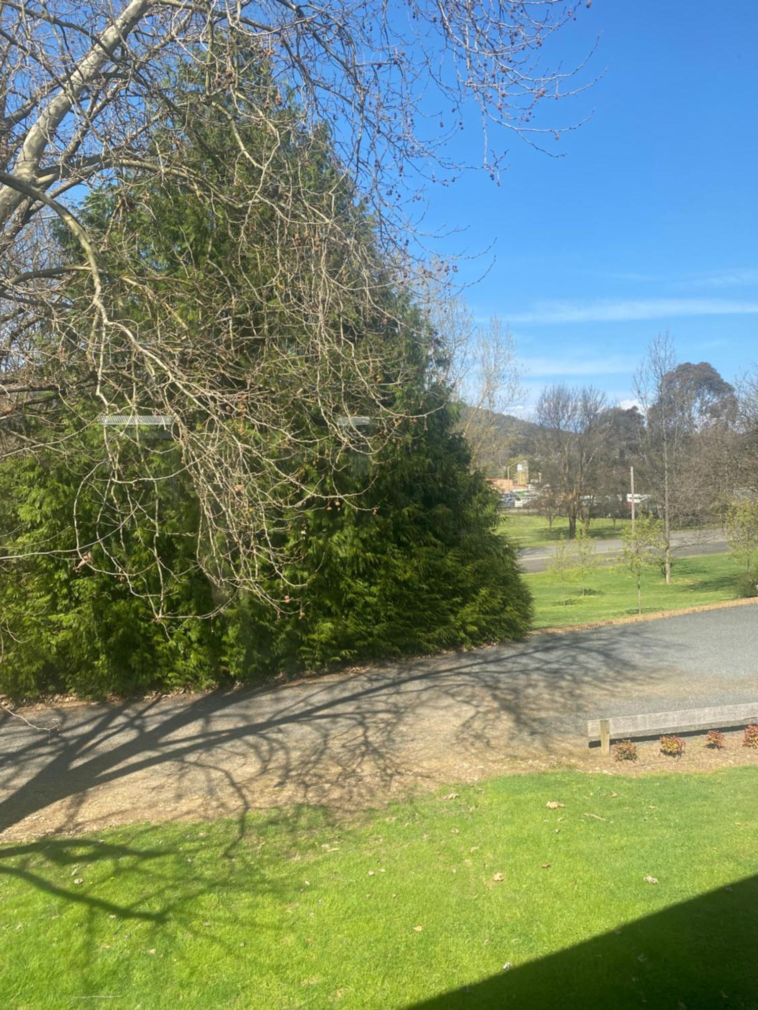 Tumbarumba Motel & Elms Restaurant Luaran gambar