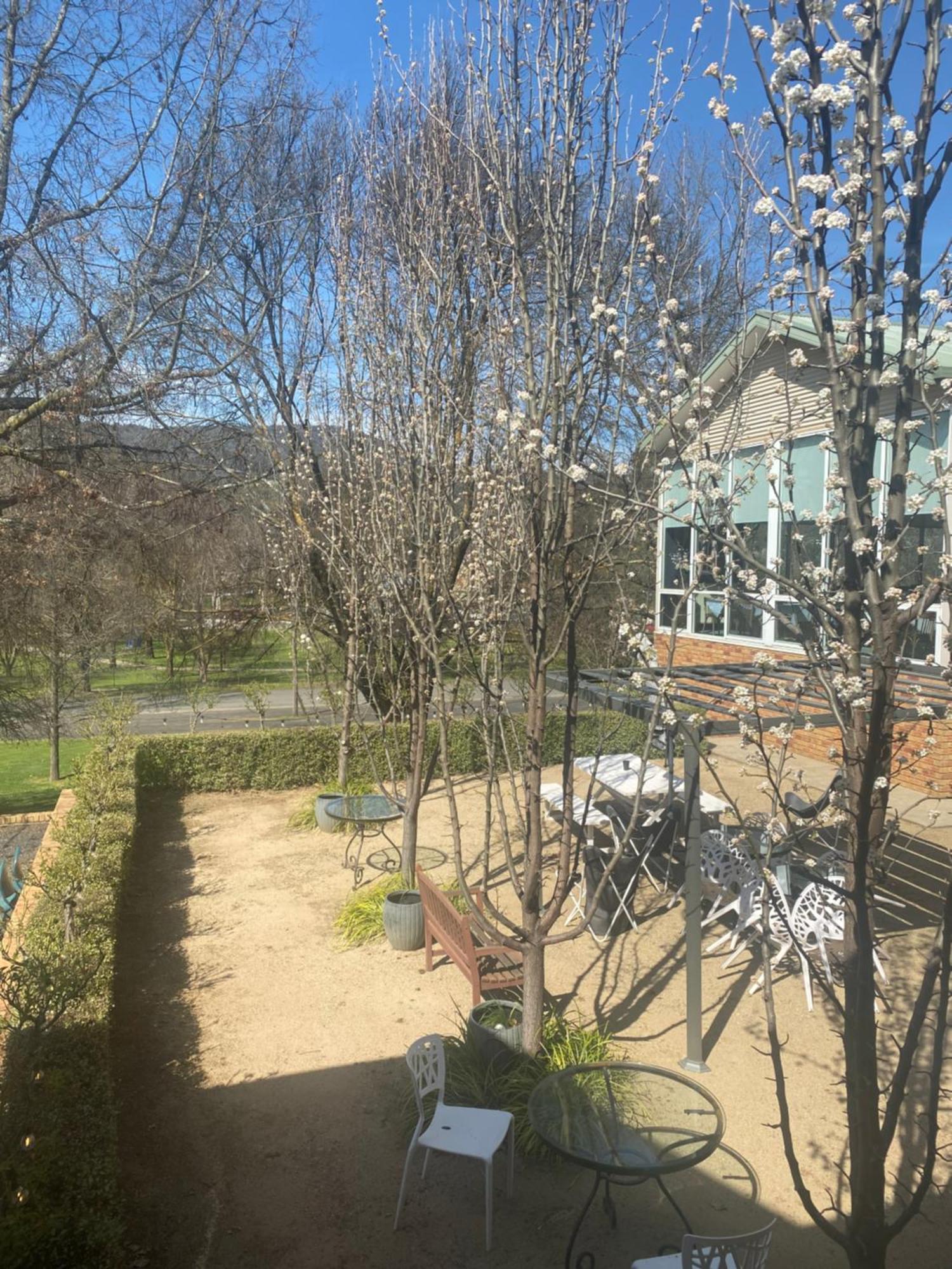 Tumbarumba Motel & Elms Restaurant Luaran gambar